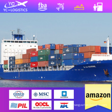 Sea Freight Forwarding from China to Worldwide/USA/UK/EUR/AUS